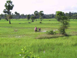 Img7.jpg