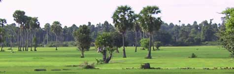 Srok Batheay, Cambodge 2001